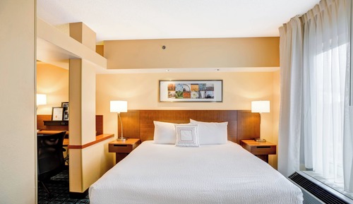 Room, 1 King Bed with Sofa bed