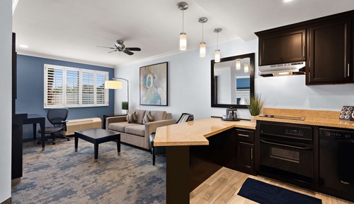 Suite, 1 King Bed, Kitchen, City View (with Sofabed)
