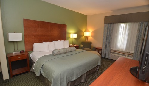 Room, 1 King Bed, Non Smoking