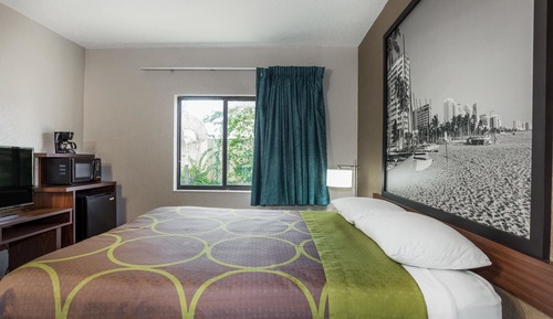 Room, 1 King Bed, Non Smoking