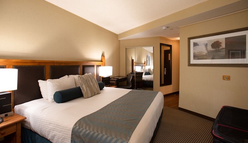 Comfort Room, 1 King Bed