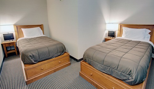 Family Studio Suite, Multiple Beds