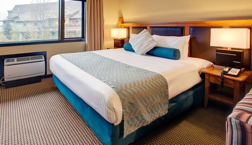 Studio Suite, 1 King Bed with Sofa bed