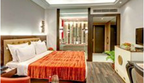 Colony Premium