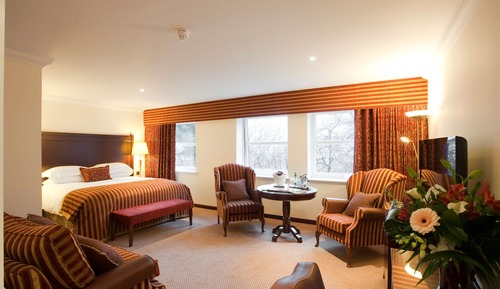 Superior Room, 1 King Bed (Super Deluxe King)