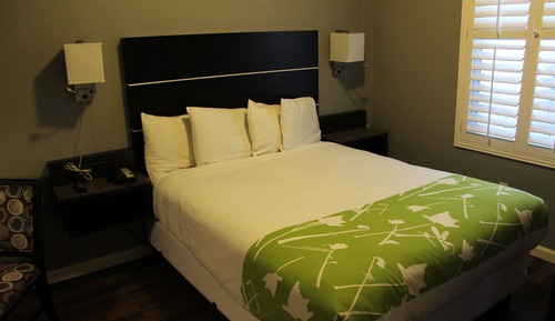 Room, 1 Queen Bed