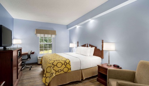 Room, 1 King Bed, Non Smoking (Pet Friendly)