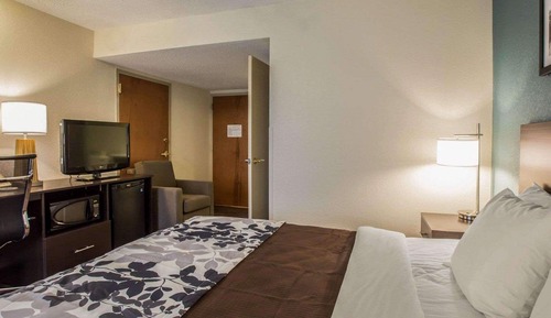 Standard Room, 1 King Bed, Accessible, Non Smoking