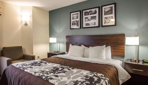 Standard Room, 1 King Bed, Non Smoking