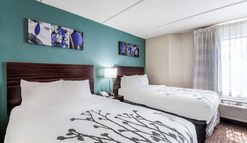 Standard Double Room, 2 Double Beds, Non Smoking
