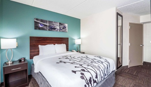 Room, 1 Queen Bed, Accessible, Non Smoking