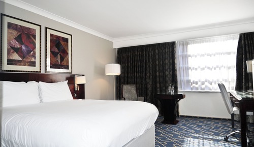 Standard Room, 1 Double Bed (Vintage Aircrafts View)