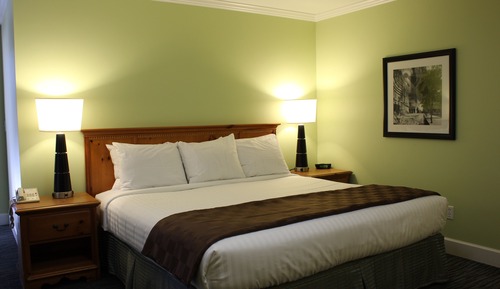 Room, 1 King Bed