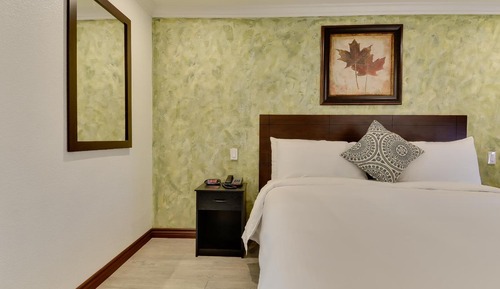Standard Single Room, 1 King Bed, Accessible, Non Smoking