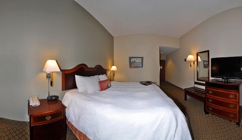 Room, 1 King Bed, Non Smoking