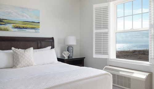 Room, 1 King Bed (Oceanview)