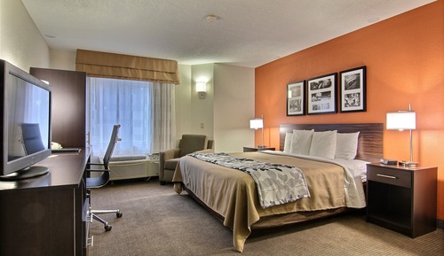Standard Room, 1 King Bed, Non Smoking