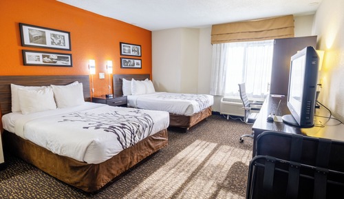 Standard Double Room, 2 Double Beds, Non Smoking