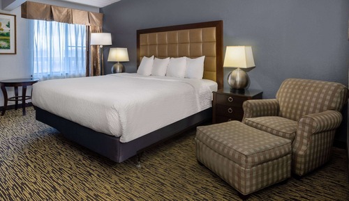 Room, 1 King Bed, Non Smoking