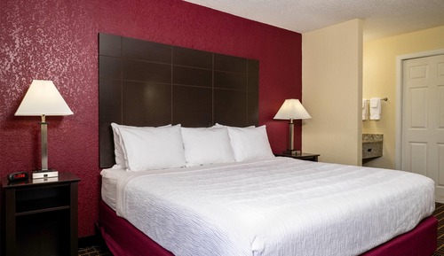 Room, 1 King Bed, Non Smoking