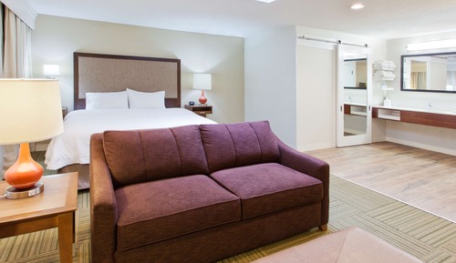 Room, 1 King Bed, Refrigerator