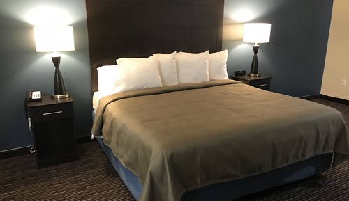 Room, 1 King Bed, Non Smoking