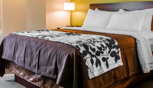 ADA Mobility Accessible Room, 1 Queen Bed, Non Smoking (Accessible Bathtub)