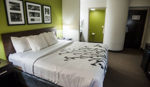Standard Room, 1 King Bed, Non Smoking