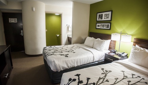 Standard Double Room, 2 Double Beds, Non Smoking