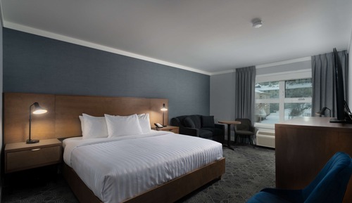 Standard Room, 1 King Bed, Non Smoking (with Single Sofabed)