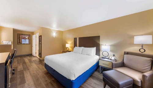 Standard Room, 1 King Bed, Accessible, Non Smoking (Pet Friendly)