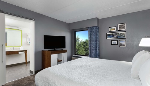 Room, 1 King Bed with Sofa bed, Accessible (ADA with Sofa and Roll In Shower)