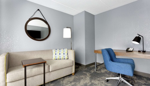 Suite, 1 King Bed with Sofa bed (With Shower)