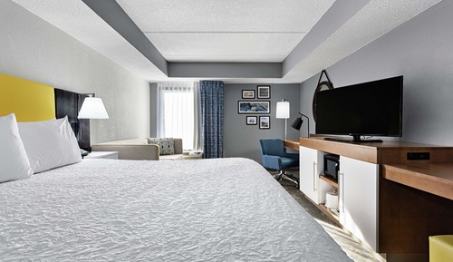 Room, 1 King Bed with Sofa bed, Accessible (Hearing Impaired With Shower)