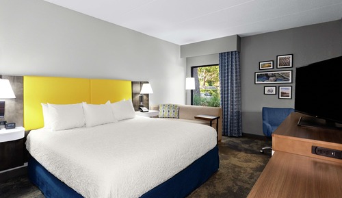 Room, 1 King Bed with Sofa bed (Hearing Impaired With Shower and Sofa)