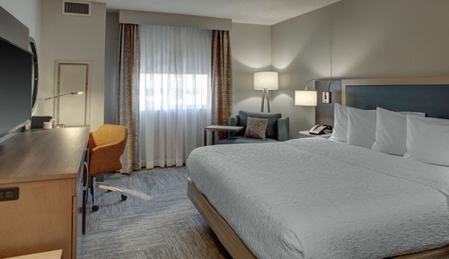 Room, 1 King Bed, Accessible, Bathtub (Mobility & Hearing)