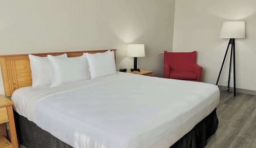 Room, 1 King Bed, Accessible, Non Smoking