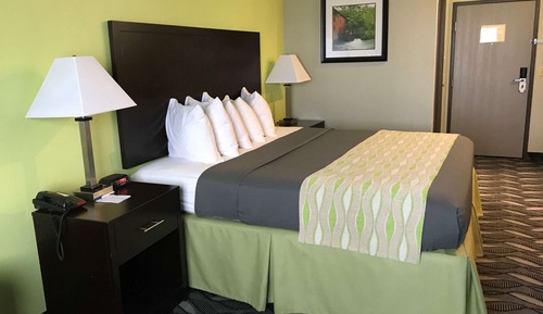 Standard Room, 1 King Bed, Non Smoking, Refrigerator & Microwave