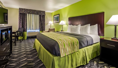 Executive Room, 1 King Bed, Non Smoking, Refrigerator & Microwave