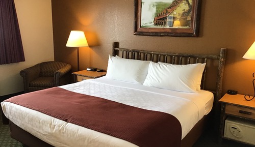 Room, 1 King Bed, Non Smoking