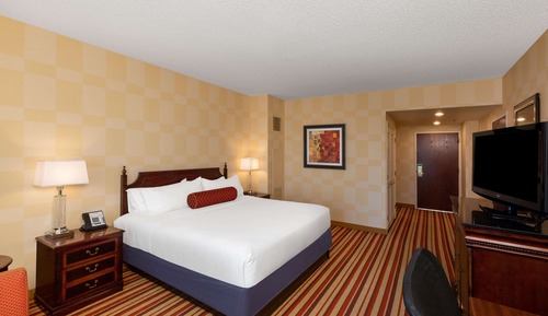 Room, 1 King Bed, Non Smoking (Pure Wellness Room, Club Floor)