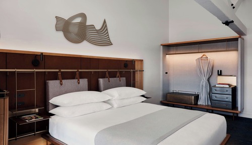 Room, 1 King Bed with Sofa bed