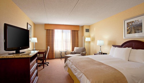 Room, 1 King Bed, Non Smoking