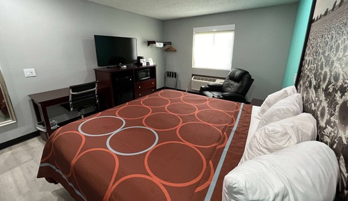 Room, 1 King Bed, Non Smoking (Pet-Friendly)