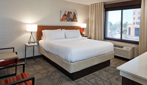 Suite, 1 King Bed, Accessible