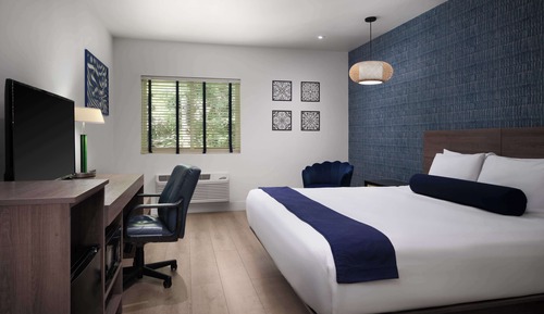 Standard Room, 1 King Bed, Non Smoking, Refrigerator & Microwave