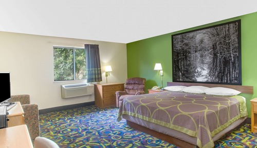 Room, 1 King Bed
