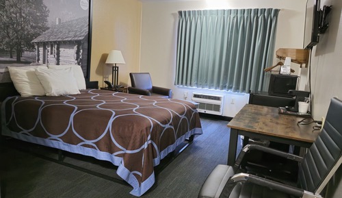 Basic Single Room