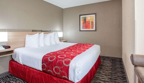 Room, 1 King Bed, Accessible, Non Smoking (Mobility/Roll-In Shower)