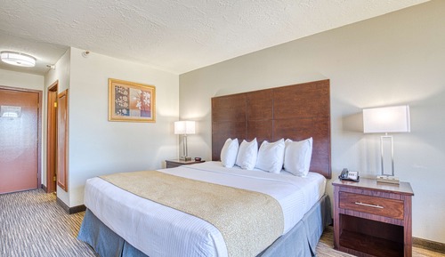 Standard Room, 1 King Bed, Non Smoking